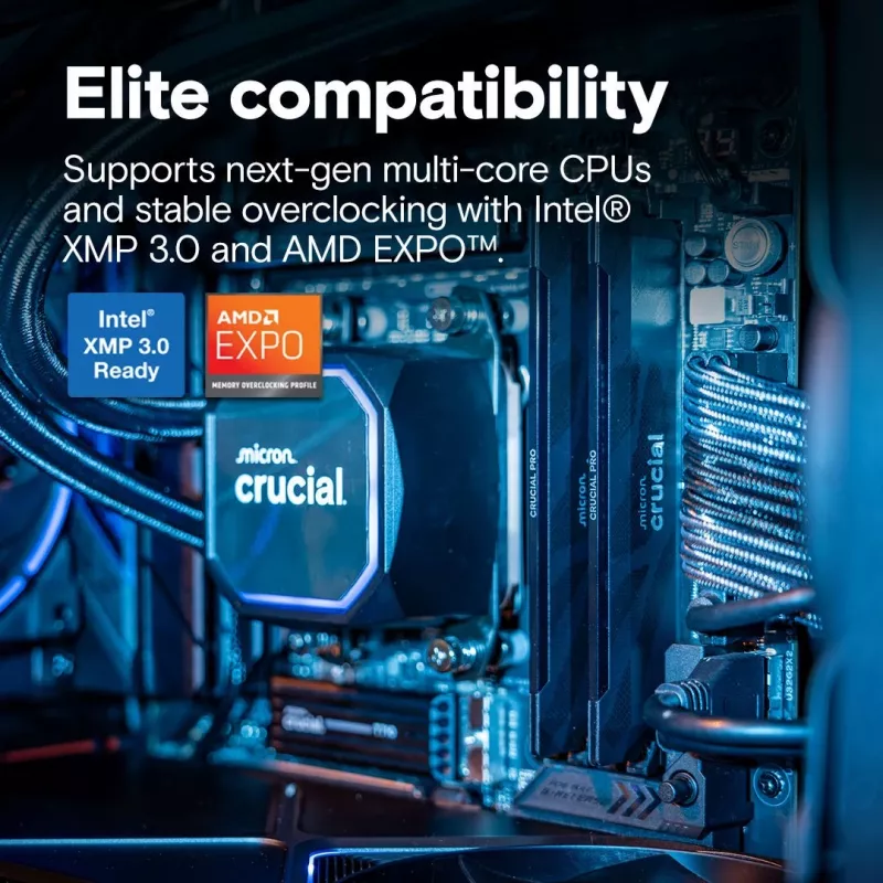 DDR5 RAM-moodul CRUCIAL Pro OC 16 GB (1 × 16 GB) 6400 MT/s CL32