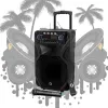 Kaasaskantav karaokekõlar MANTA SPK5021PRO 20W, 12-tolline bassikõlar, 80W RMS, Bluetooth, aku kuni 5h, SD/USB, mikrofoni- ja kitarrisisendid