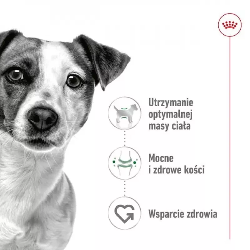 ROYAL CANIN Adult Mini S - kuiv koeratoit - 4kg