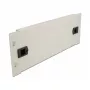 Blind panel DeLOCK 10 inch võrk Cabinet 66631