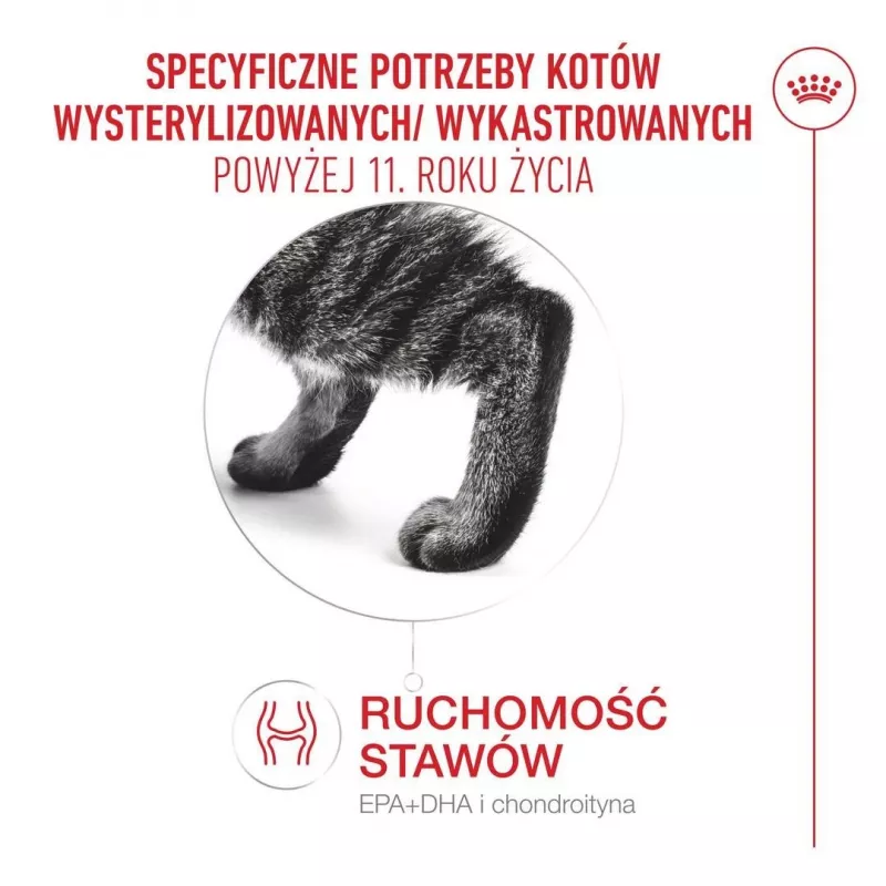 Kuiv kassitoit Royal Canin FHN Ageing Sterilised 11+ linnuliha 4 kg, 30% valku, 12,5% rasva