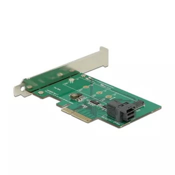 Sisemine M.2 adapter DeLOCK 89517