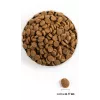 ACANA Adult Large Breed - kuiv koeratoit - 11,4kg
