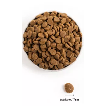 ACANA Adult Large Breed - kuiv koeratoit - 11,4kg