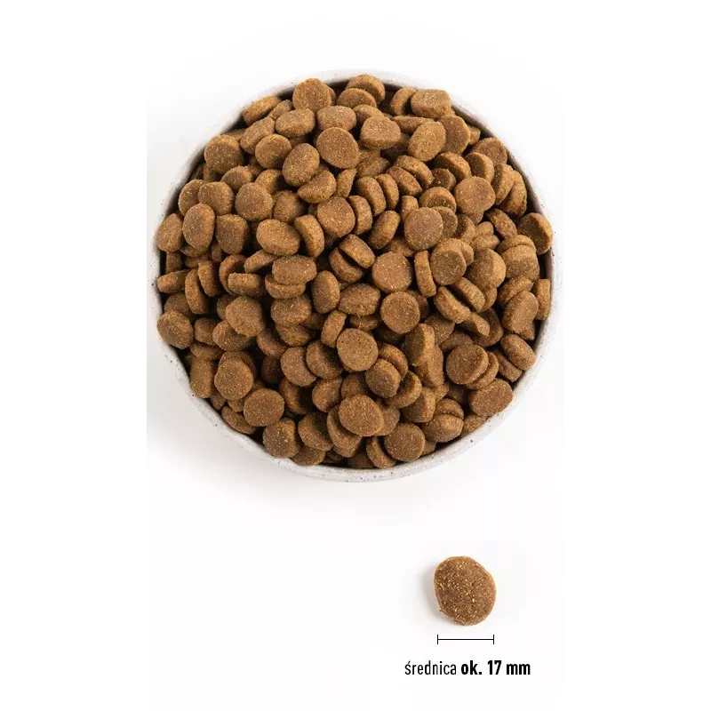 ACANA Adult Large Breed - kuiv koeratoit - 11,4kg