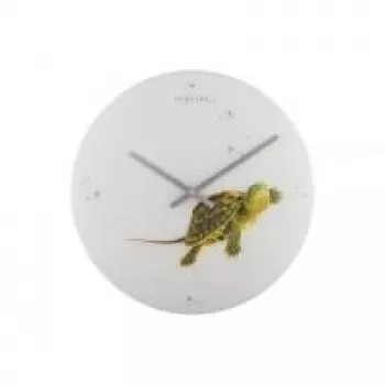 NeXtime klok 8137 Turtle, Ø43 cm, Seinale, Valge/ Roheline