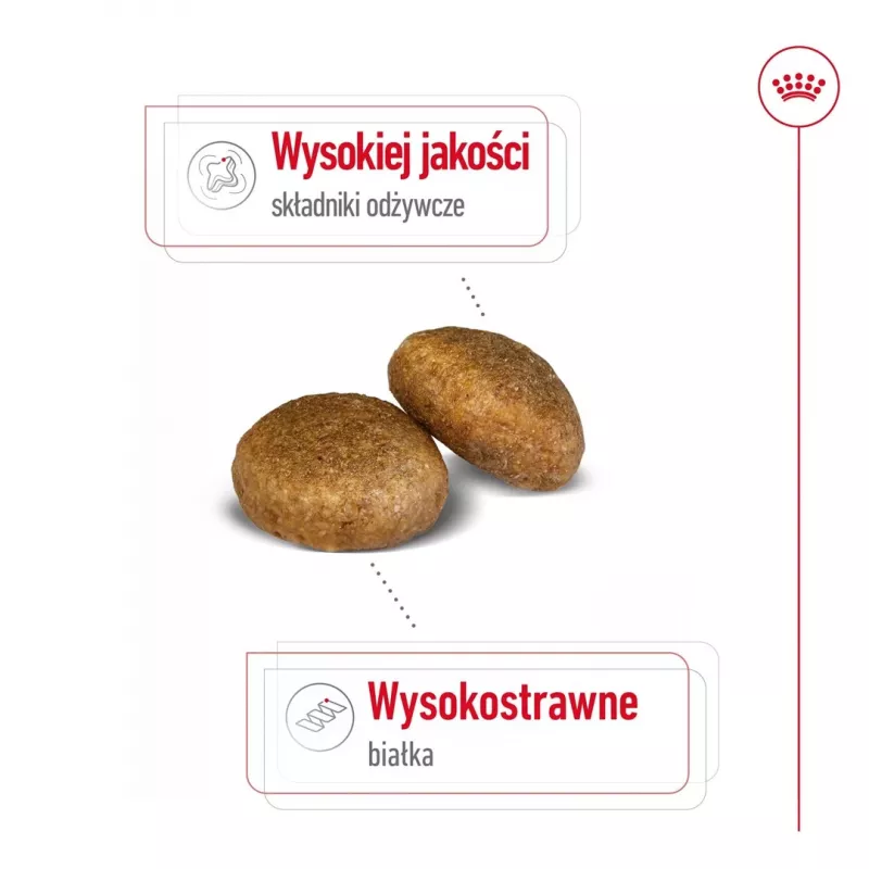 Royal Canin Maxi Adult kuivtoit koertele, 15 kg