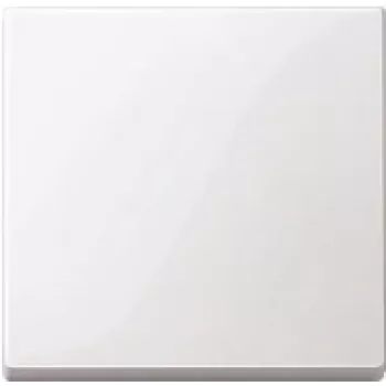 Seinaplaat / lülitikate Merten 432125, valge, termoplast