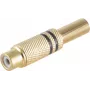 RCA-pistik ShiverPeaks BS52021-S Gold emane