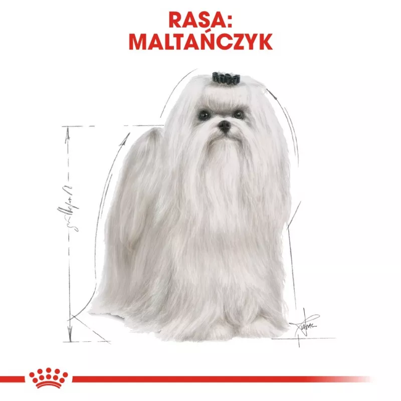 Kuiv koeratoit Royal Canin Maltese Adult 1,5 kg — kana, 24% valku, 18% rasva