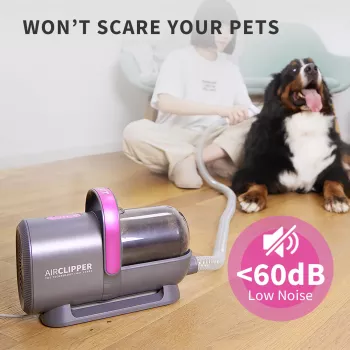 PETKIT DT5-EU Tolmuimeja ja karvapügaja kassidele ja koertele, must/lilla