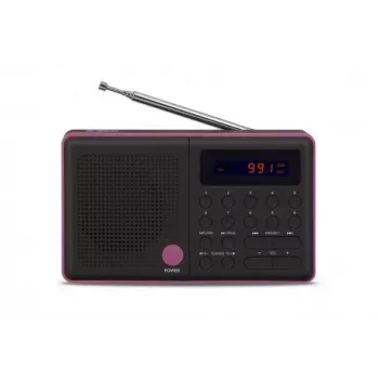 Raadio Pliszka USB, FM must