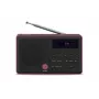 Raadio Pliszka USB, FM must