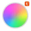 Nutikas laelamp 30 cm WiFi/Bluetooth 16M RGBCW Gosund LB12 1920lm Tuya + kaugjuhtimispult.