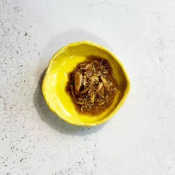 Ollo Tuunikala Merevetikatega Puljongis Nr 8 70g