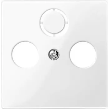 Seinaplaat / lülitikate Merten 296719, valge termoplastist, ühekordne, 1 tk