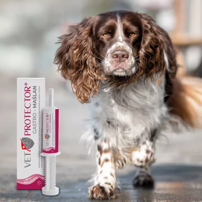 Vedel sooletugilisand JM Sante VET PROTECTOR Gastro Butyrate 60 ml koertele ja kassidele, toidulisand, sojavaba, gluteenivaba