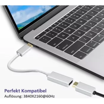 DisplayPort-HDMI-adapterkaabel Helos 4K hõbedane — DisplayPort (isa) HDMI-le (ema)