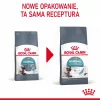 Kuiv kassitoit Royal Canin Hairball Care 10 kg — täiskasvanud kassidele, maisi ja linnulihaga