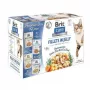 Märg kassitoit kotikestes Brit Care FJ Flavour Box tarretises 12 x 85 g