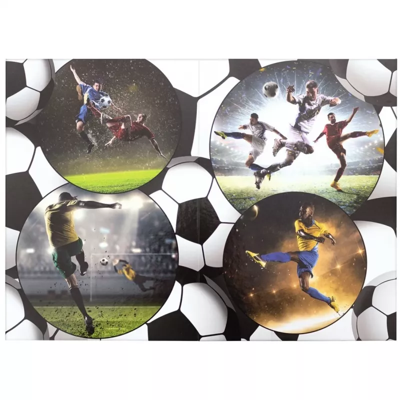 Prügikorv HERMA Football 19739