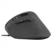 Hiir SPEEDLINK PIAVO Office USB Type-A optiline 2400 DPI