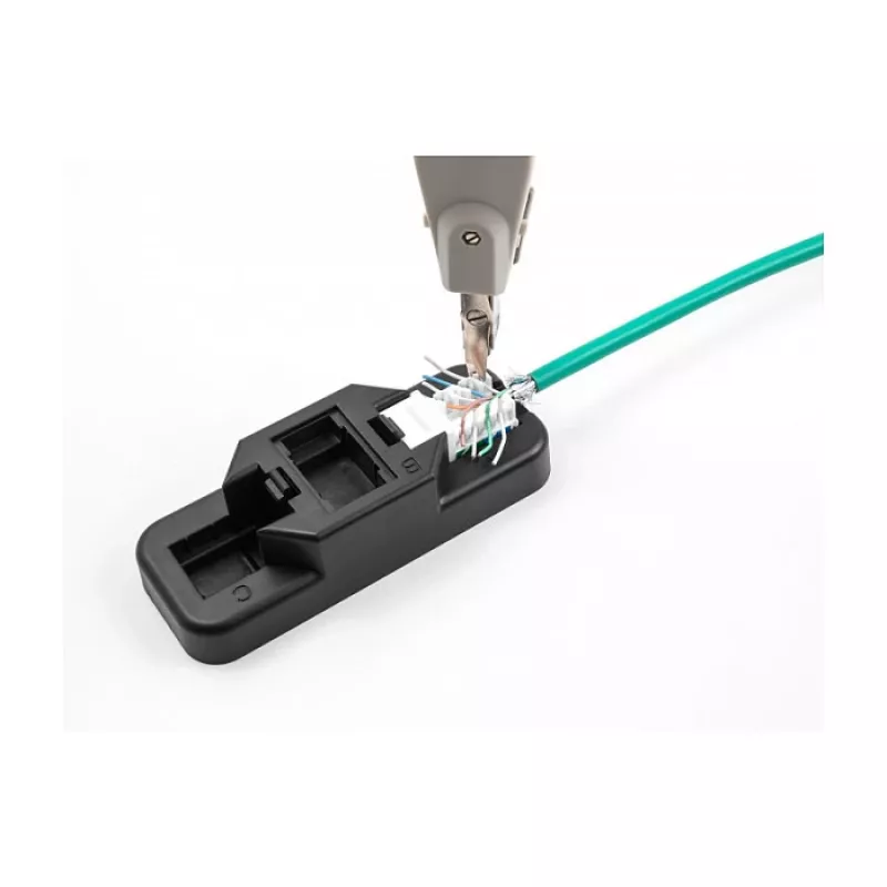 DeLOCK Keystone LSA Set RJ45 RJ11 Cat.6 must klõpsuga hoidik