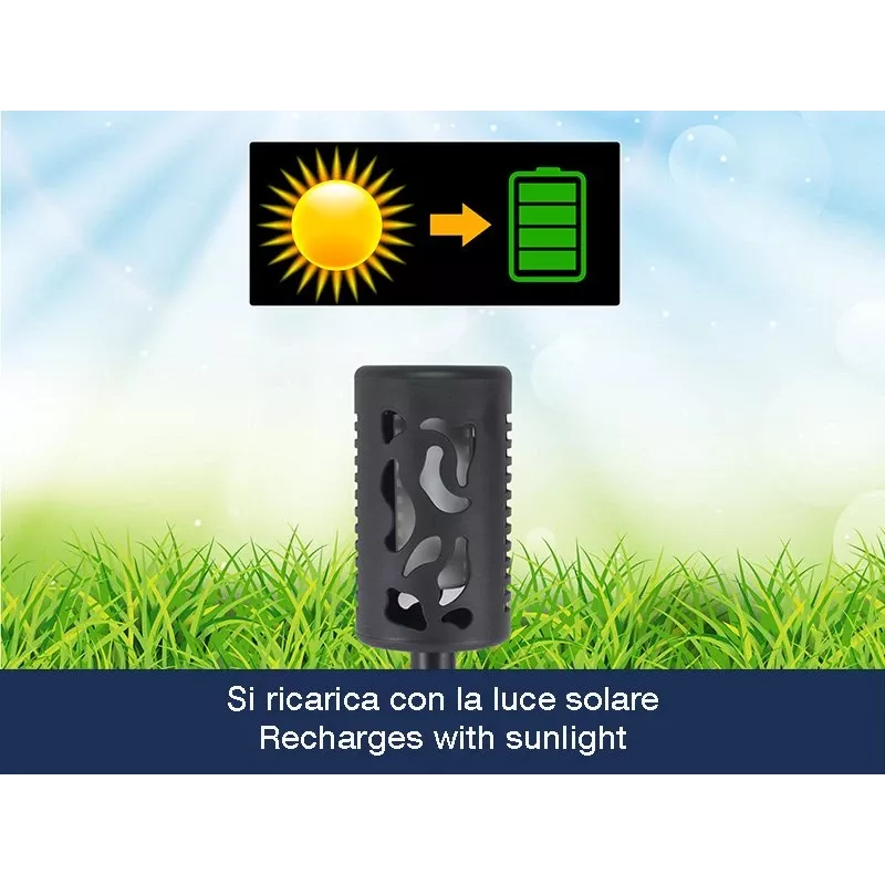 Elektriketas Beper P207ILO101 1.7 L 2200 W roostevabast terasest kütteelement juhtmeta