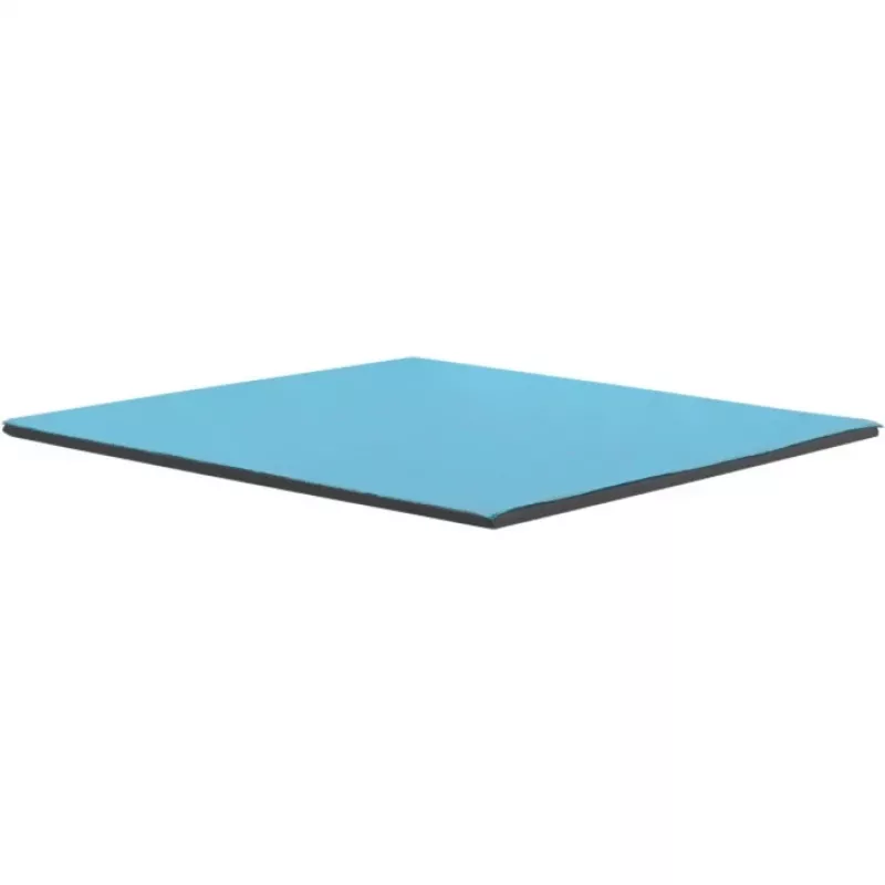 Thermal Grizzly Minus Pad Pro, 100 x 100 x 2.0 mm
