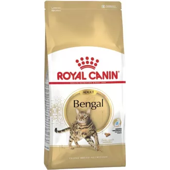 Royal Canin Bengali täiskasvanud kuiv kassitoit 10 kg — kana, 40% valku, 18% rasva