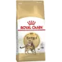 Royal Canin Bengali täiskasvanud kuiv kassitoit 10 kg — kana, 40% valku, 18% rasva