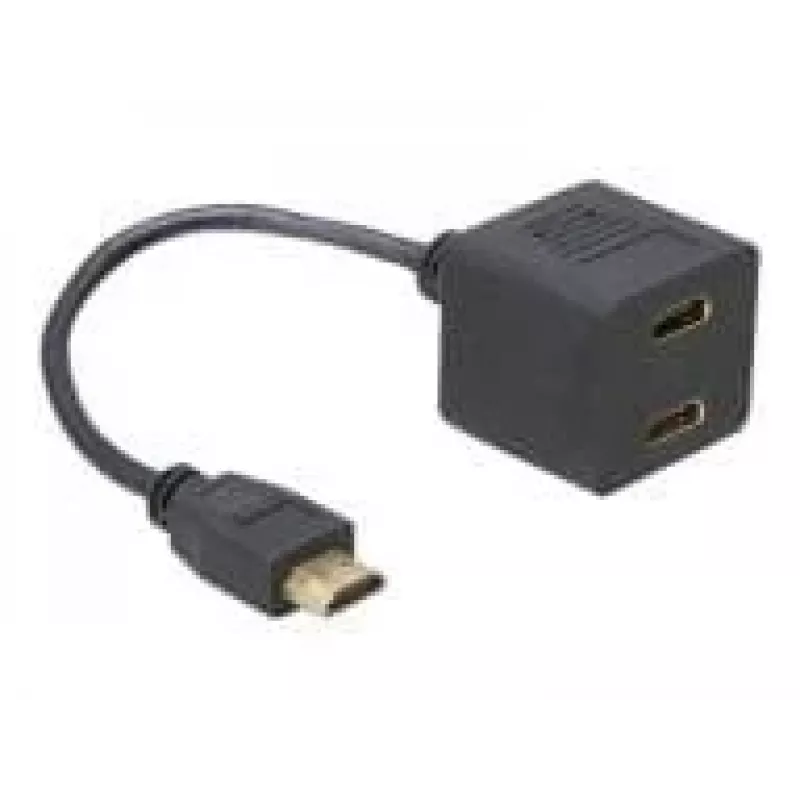 HDMI-adapter DeLOCK 65056 0,2 m isane 2x emasesse