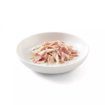 SCHESIR želees Tuunikala ja kana singiga - märg kassitoit - 85 g