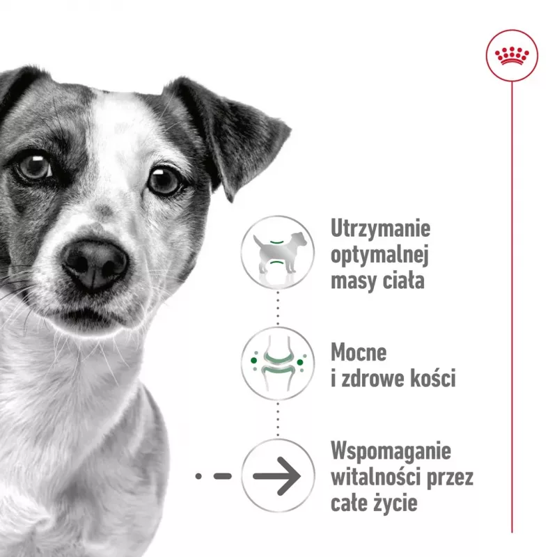 Märg koeratoit Royal Canin Mini Ageing 12+ Adult kotike 85 g — väikesed tõud, linnuliha, seenior