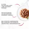 GOURMET Mon Petit Fish Mix - märg kassitoit - 6 x 50 g