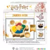 Harry Potter - võluri arvamismäng, viktoriinimäng