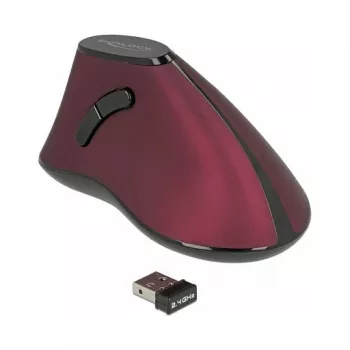 Hiir DeLOCK 12528 RF juhtmevaba optiline 1000 DPI