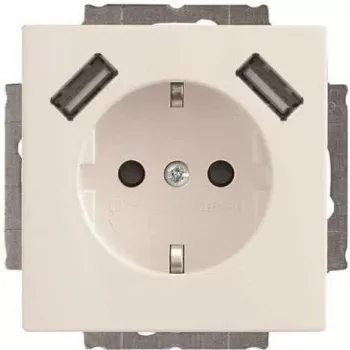 Busch-Jaeger SCHUKO-2x USB pistikupesa 20 EUCB2USB-84 (2CKA002011A6273)