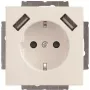 Busch-Jaeger SCHUKO-2x USB pistikupesa 20 EUCB2USB-84 (2CKA002011A6273)