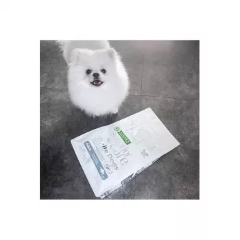 Kuiv koeratoit nature’s protection Valge Dogs GF Valge Fish Adult Small 4 kg — teraviljavaba, valk 24%, rasv 13%