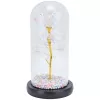 Igavene roos klaasis Extralink Home, valge LED-valgus