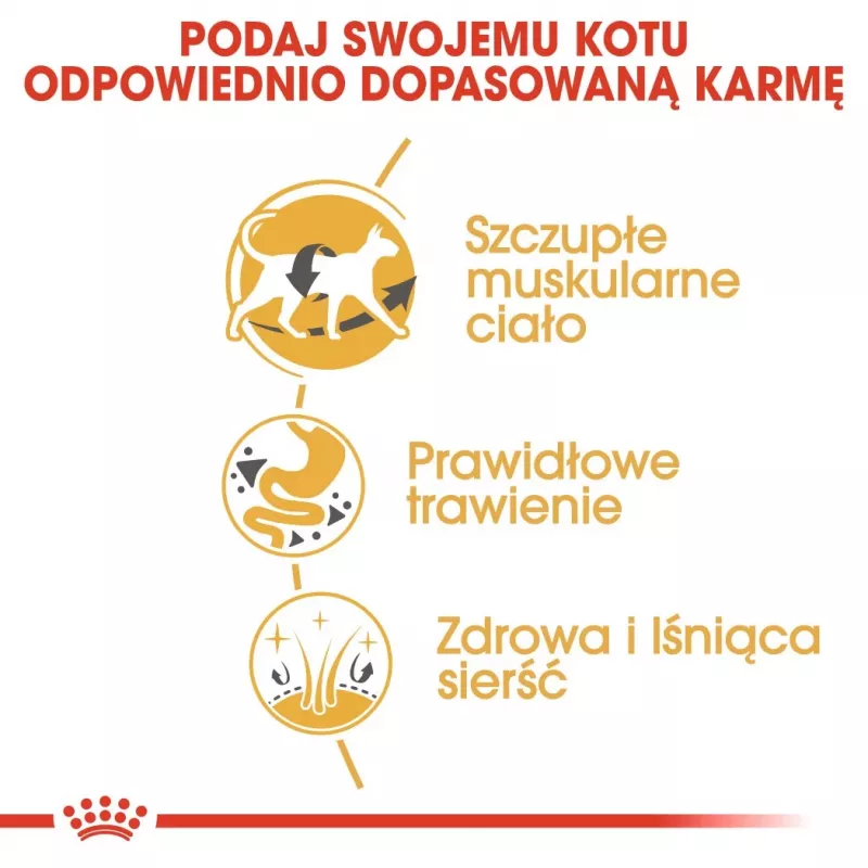 Royal Canin Siamese Adult kuiv kassitoit siiami kassidele 2 kg — täiskasvanud, linnuliha, valk 38%, rasv 16%