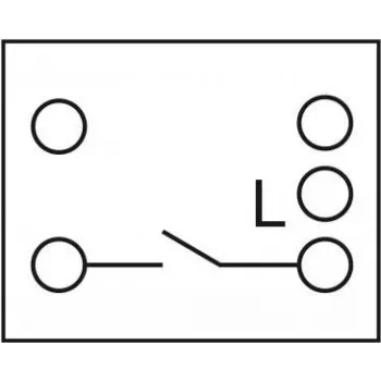 Delock - Easy 45 - Druckschalter - 1 Kippschalter - 10 A - AC 250 V - valge, RAL 9003 (81359)