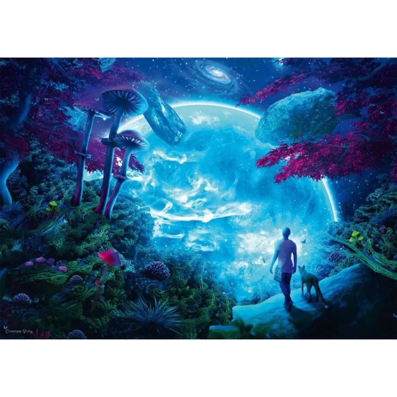 Cameron Gray Himmelsfantasie, pusle 1000 tükki