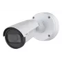 Axis 1/2.8 pildisensor, tele välistingimustes kasutatav fikseeritud kuulkamberkaamera, NEMA 4X, IP66, IP67 ja IK10 reitinguga, 1080p/2 MP eraldusvõime, päev/öö