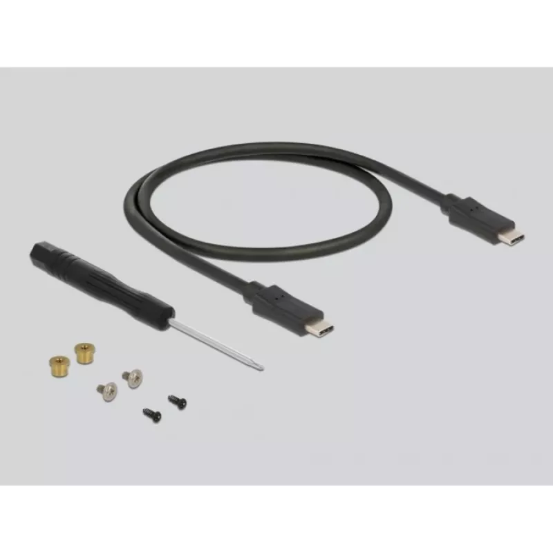 SSD korpus DeLOCK 42003 väline korpus M.2 SATA SSD-le USB USB-C-ga