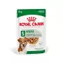 Märg koeratoit Royal Canin Mini Ageing 12+ Adult kotike 85 g — väikesed tõud, linnuliha, seenior