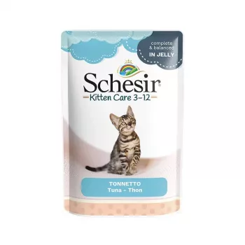 SCHESIR Tuunikala želees - märgtoit kassipoegadele - 85 g