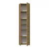 Topeshop S43 ARTISAN vannitoa hoiukapp tamm