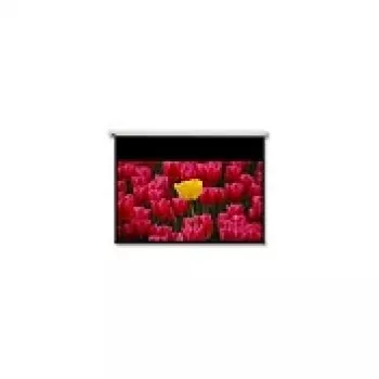Optoma Panoview DE-9106EGA – ekraan – sobiv seinale paigaldamiseks – mootoriga – 269 cm (106 inch)